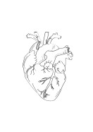 Heart Anatomy Line Art | Gör en egen poster