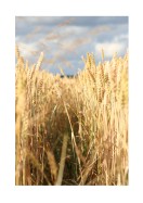 Wheat Field | Gör en egen poster