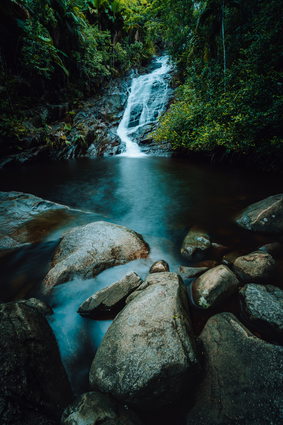 Waterfall In Forest