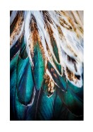 Colorful Feathers | Gör en egen poster