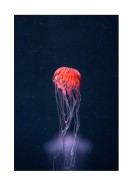 Vibrant Jellyfish In The Ocean | Gör en egen poster