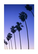 Palm Trees At Sunset In California | Gör en egen poster