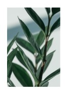 Green Plant Close-up | Gör en egen poster