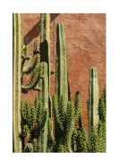 Cactus Plant In The Sun | Gör en egen poster