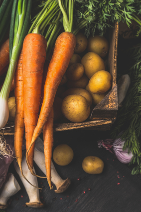 Autumn Harvest Vegetables