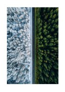 A Forest In Summer And Winter | Gör en egen poster