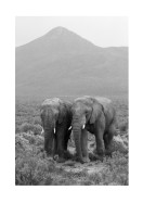 Two Elephants In Black And White | Gör en egen poster