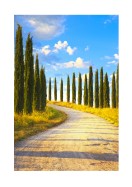 Cyprus Trees In Italy | Gör en egen poster